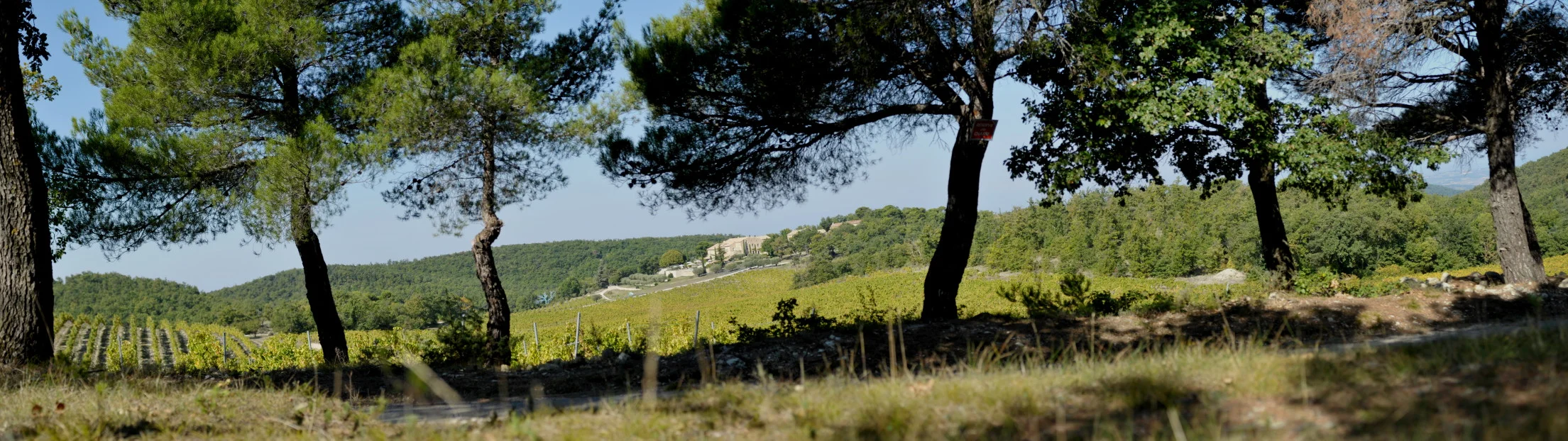 LV - Landscape - Panorama.JPG