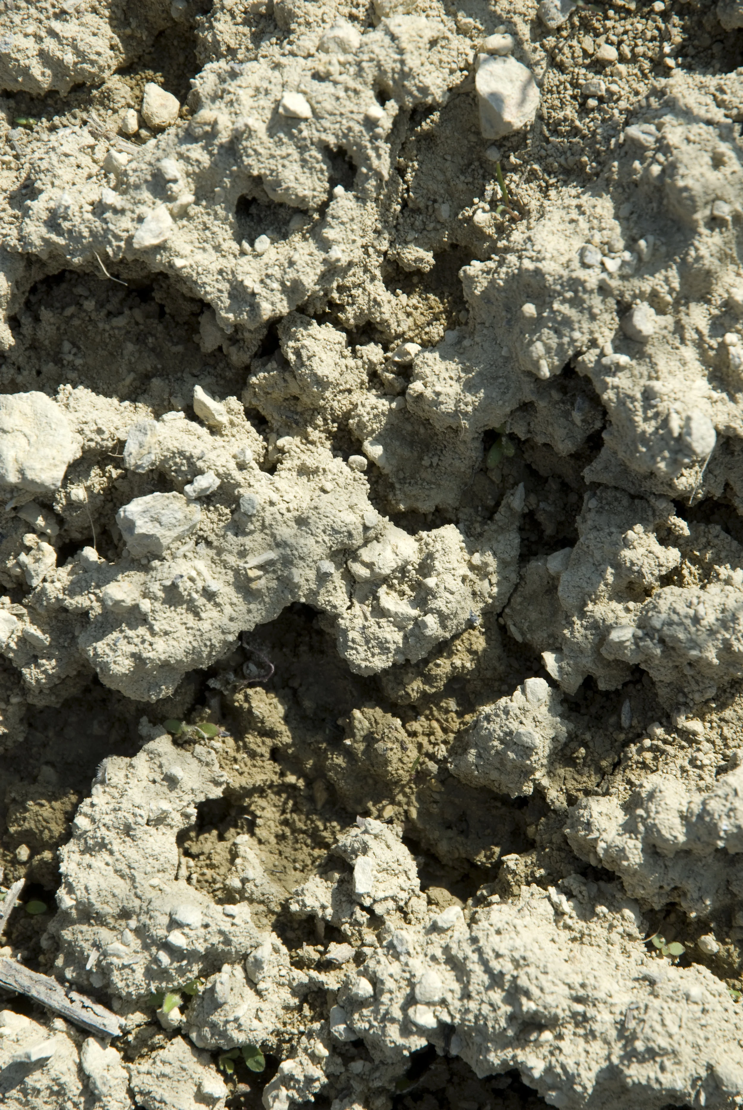 CB- Web2- Photos- 4)OUR UNIQUE BIOSPHERE- A)TERROIR- Clumped soil.jpg