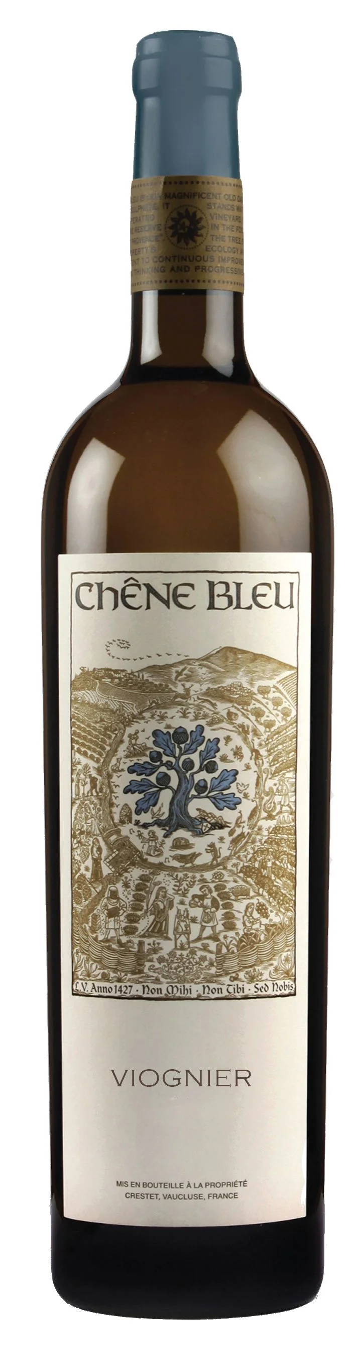 Viognier cut no date.jpg