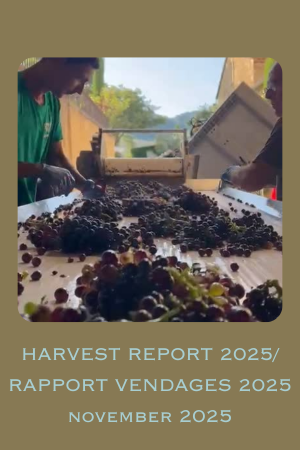 HARVEST REPORT 2025 / RAPPORT VENDANGES 2025