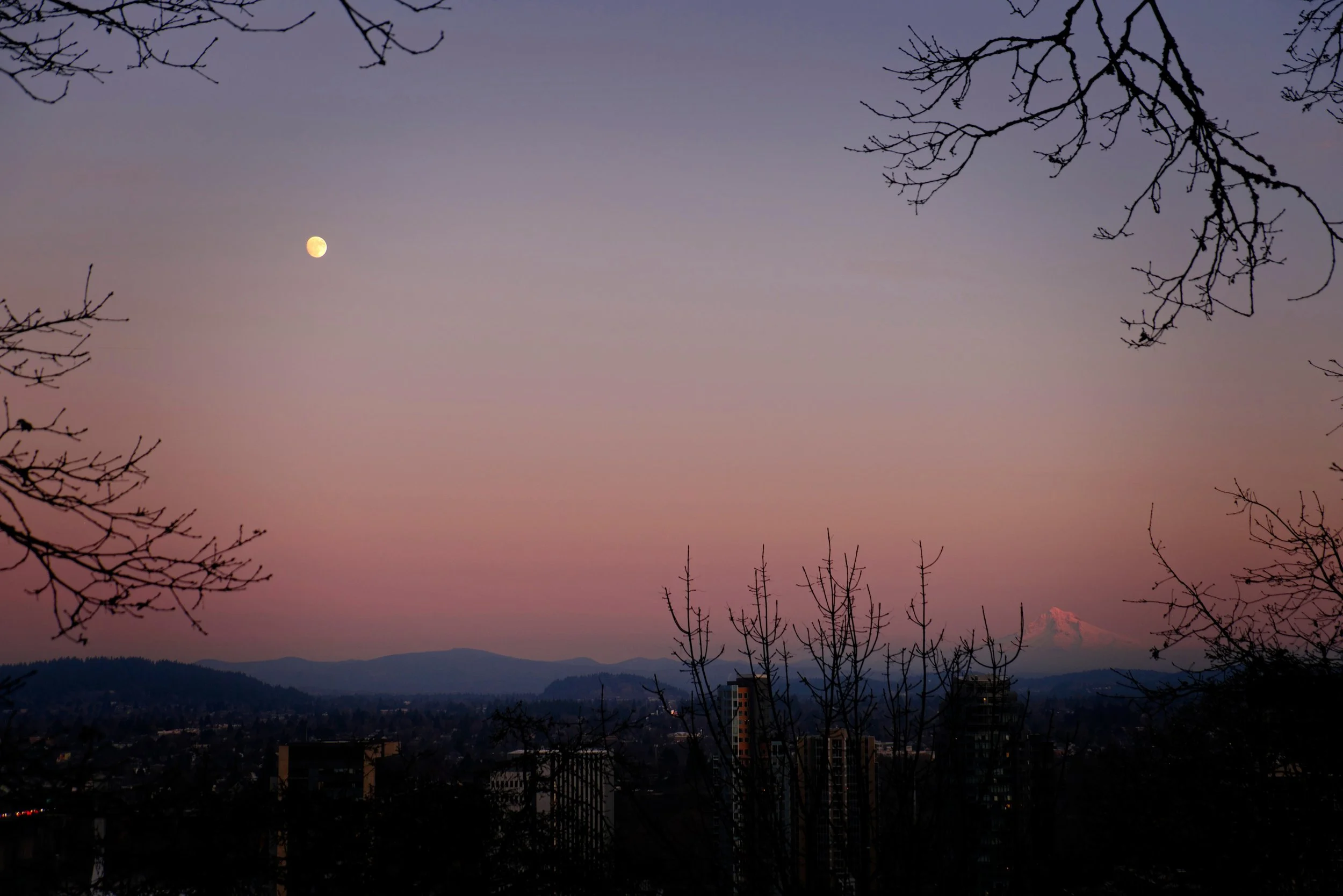 Moon Viewing Festival