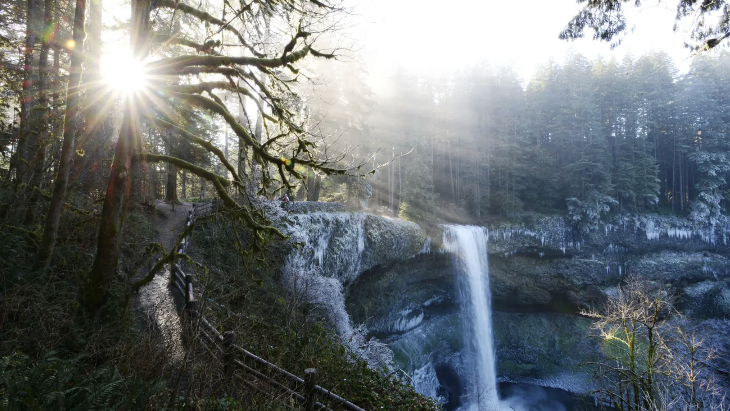 Silver Falls State Park