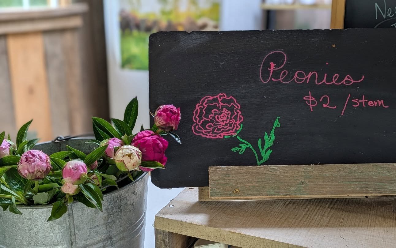 ☔ fresh peonies available now in the farm stand
🌼 more flowers coming soon