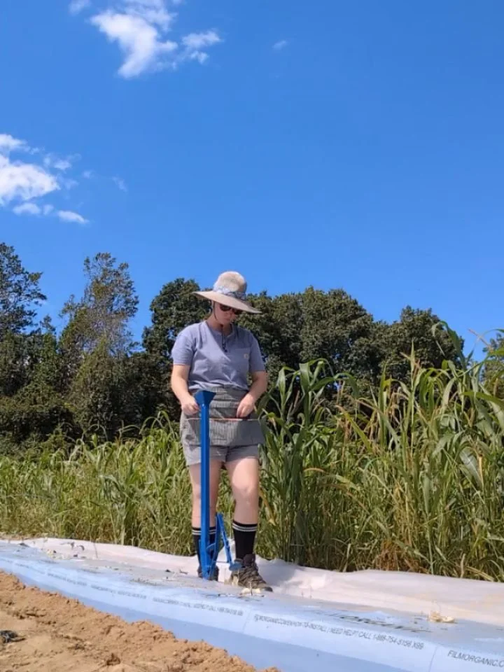 We had an unfortunate well failure last week, resulting in the loss of many transplanted fall crops. Connor was able to find the failure and fix it over the weekend, but not before lots of baby seedlings totally fried. 

Today I direct seeded beans a