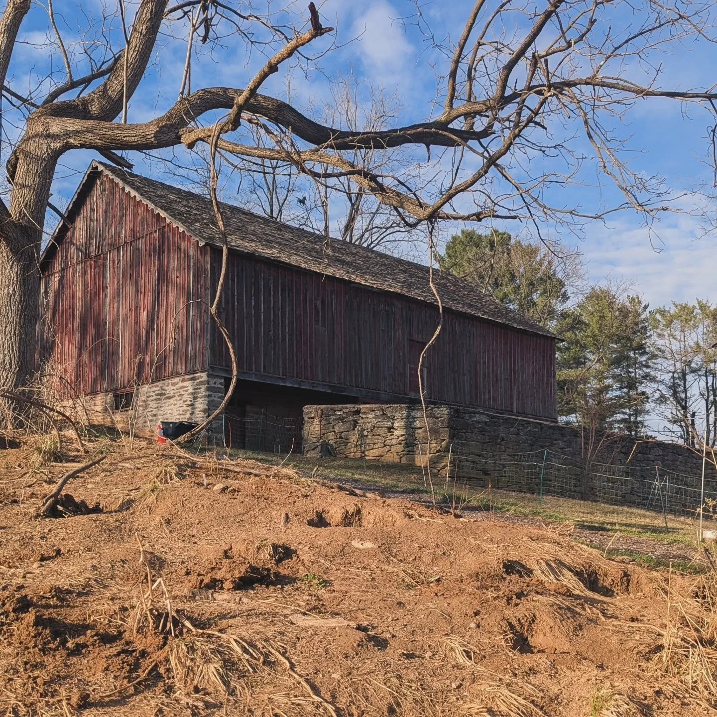 💮 It doesn't look like much yet, but soon this area will be filled with the pink, white, and red blooms and berries of native shrubs!

🐝 These plants will feed and house the many pollinator species that our farm (and the entire ecosystem) rely on.
