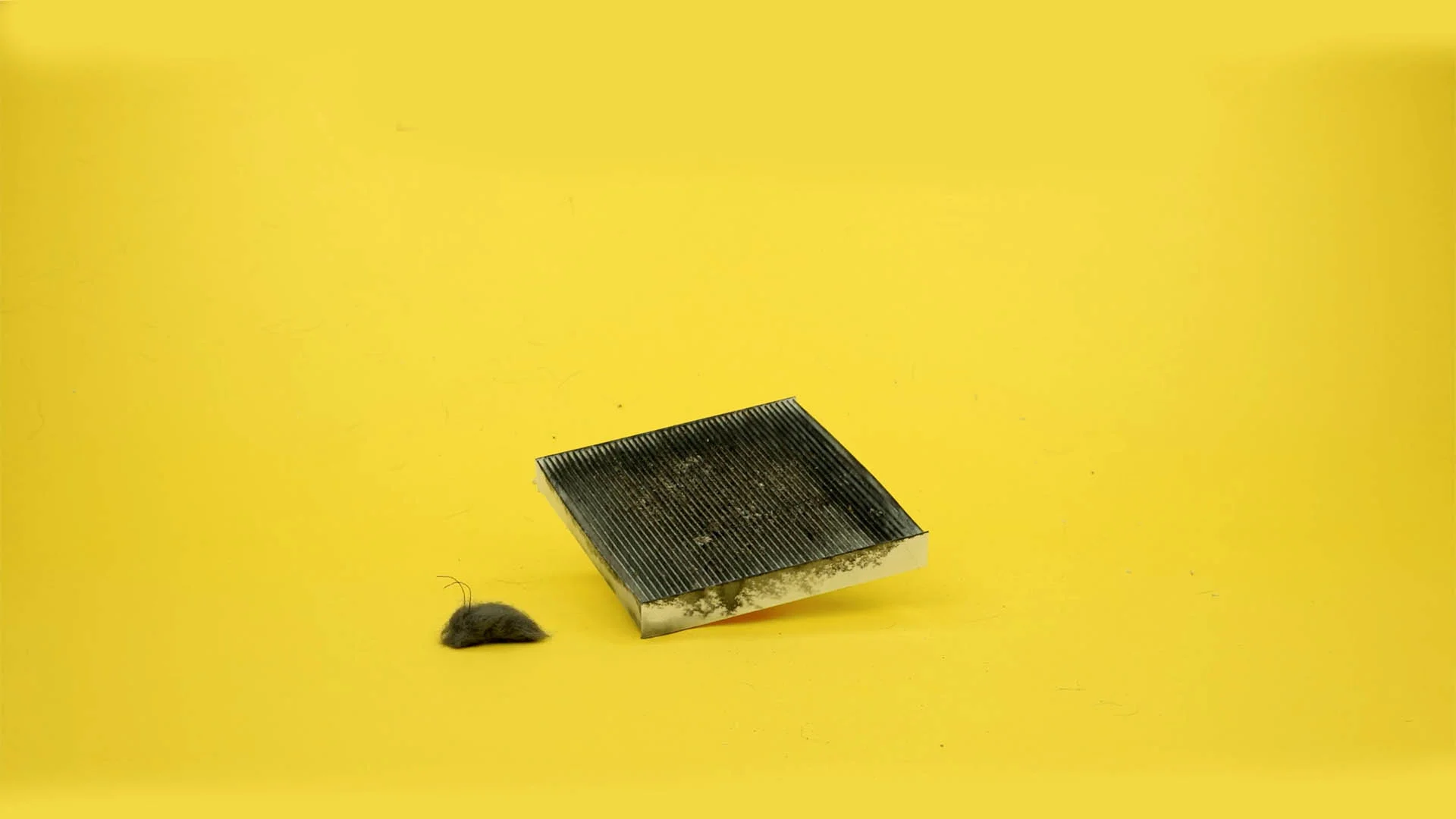 film | cabin filters
