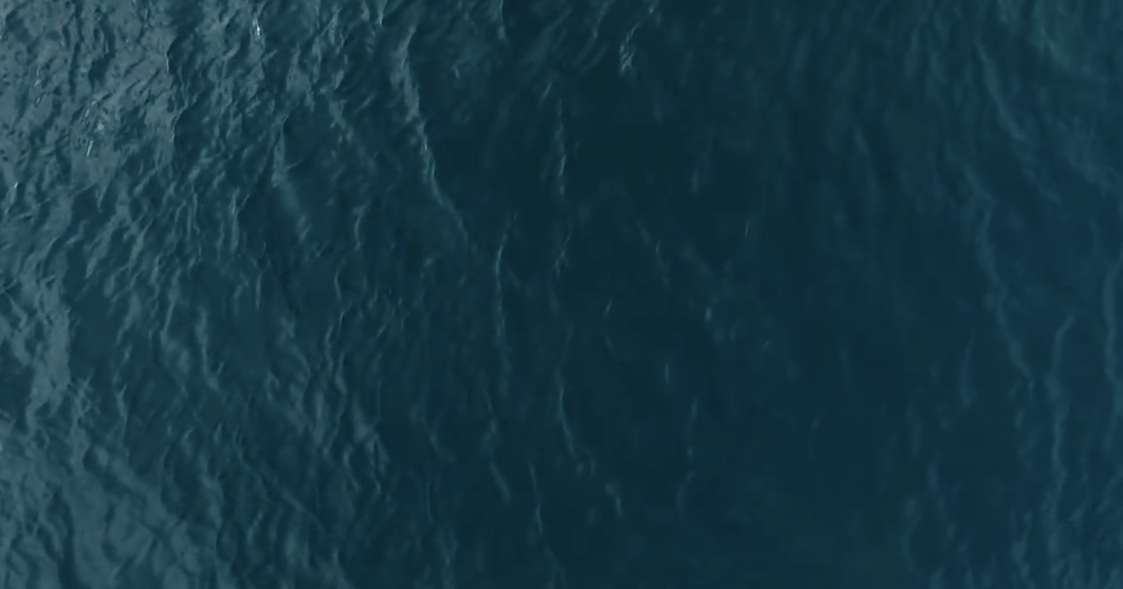 Screen Shot 2018-12-15 at 16.01.12.png