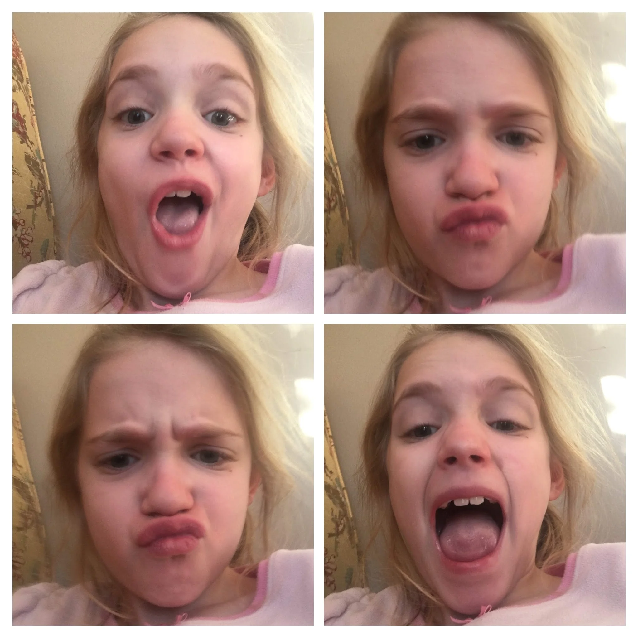 AMG impulsively stealing my phone and taking selfies!