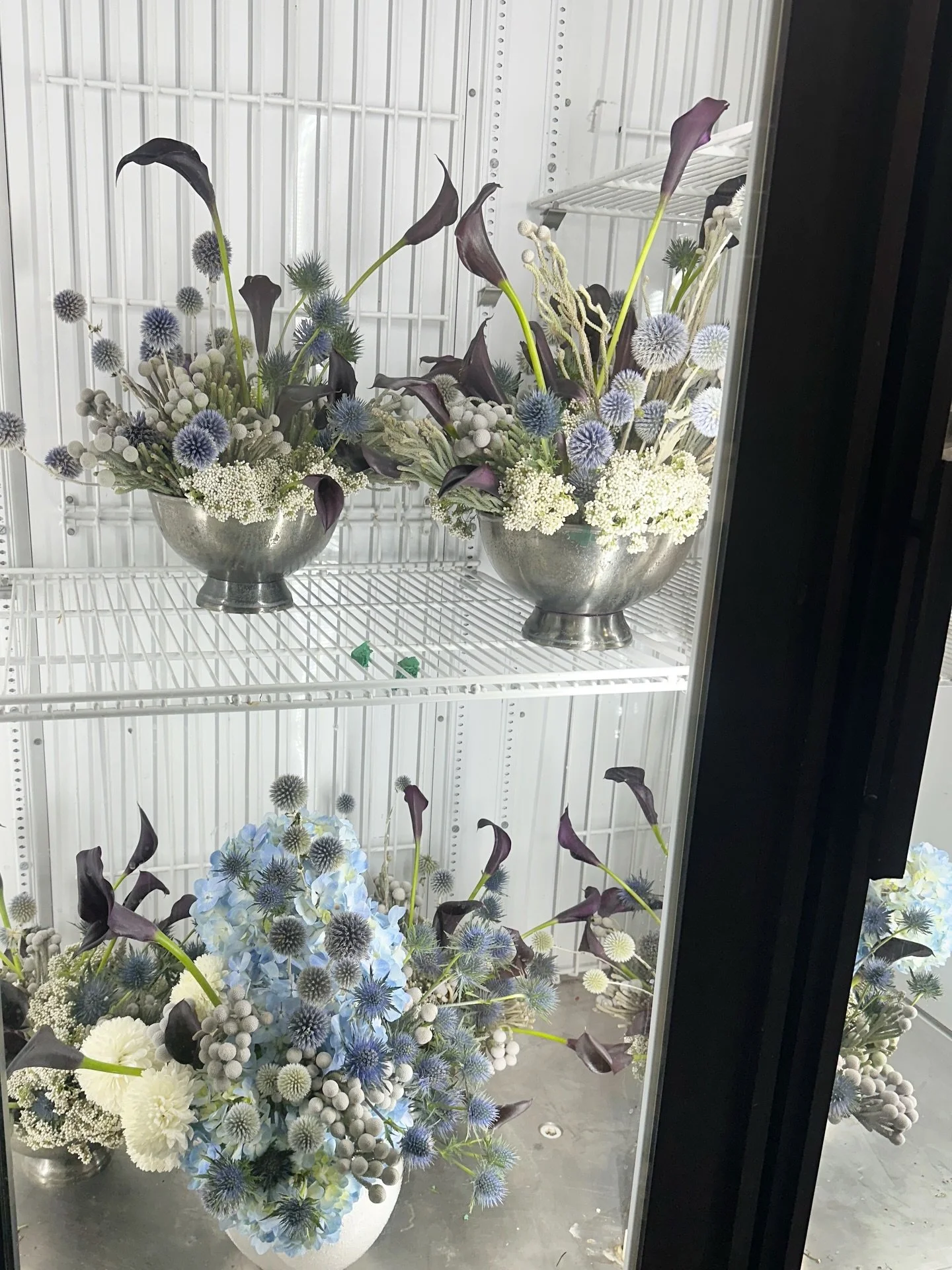 PROOF OF LIFE: A little bit of ICY mountain Aurora borealis vibes from last week with our best @lexingtonandco