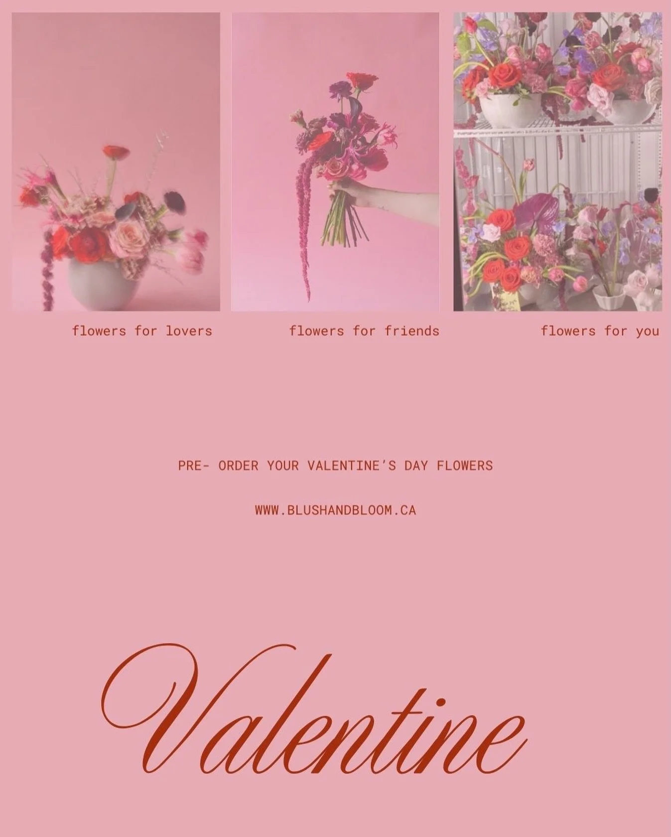 Flowers For anyone and everyone, on St 💌 Valentine&rsquo;s 

Ordering online on our website ❤️