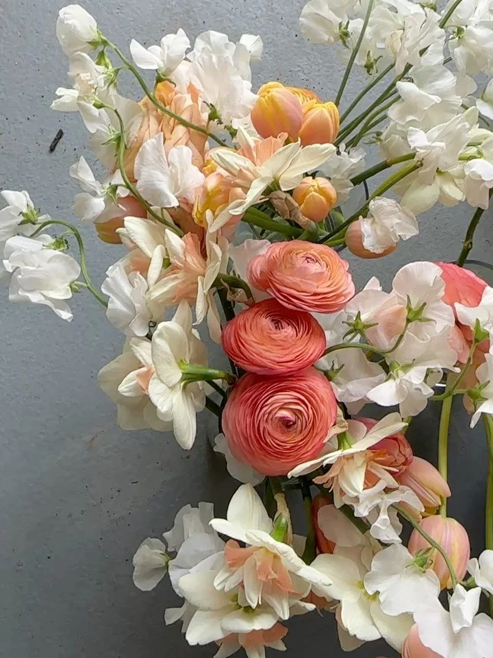 Just a little palette cleanser 💅