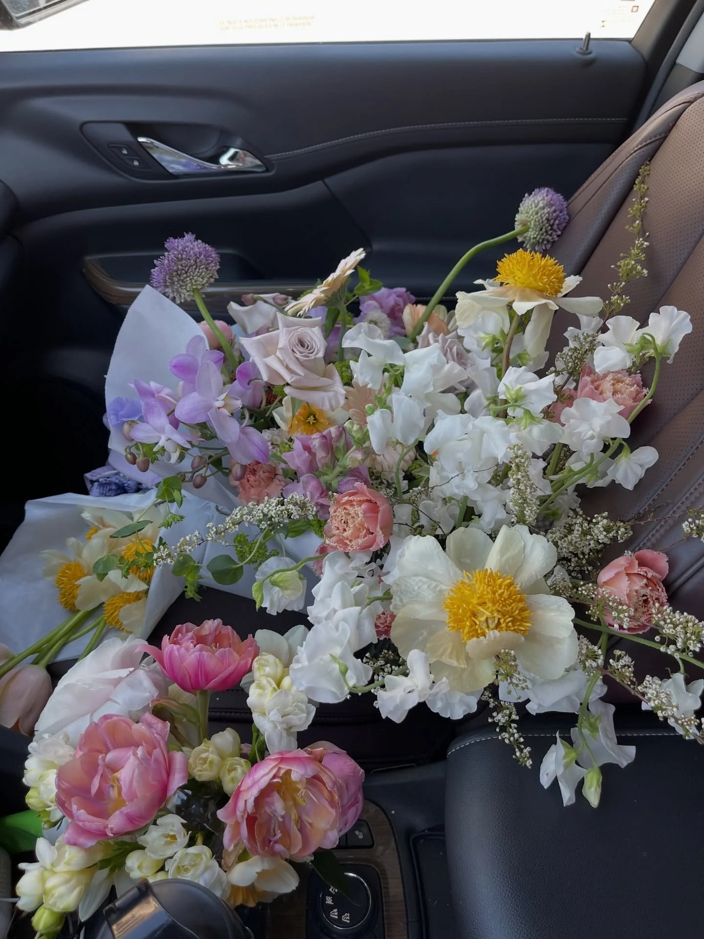 Summoning Spring 🌷 because we need a win, am I right?