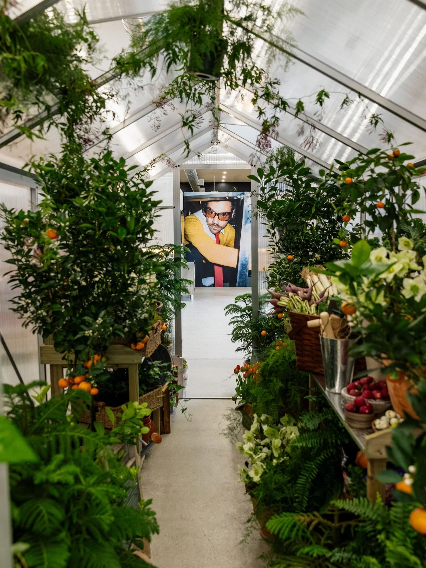When @slaackproductions asks, you deliver- especially for @harrystyles new album launch KISS ALL THE TIME. DISCO OCCASIONALLY 
Our team had so much fun creating this overgrown oasis for Harry fans 🍅 in Toronto. 
📸 @evelynbrayphotography 
Production