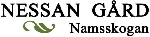 logo_nessan.jpg