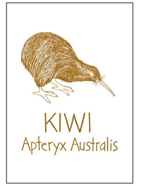 Tea Towel Brown Kiwi.jpeg