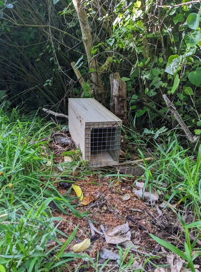 Trapping Tunnel Building Workshop