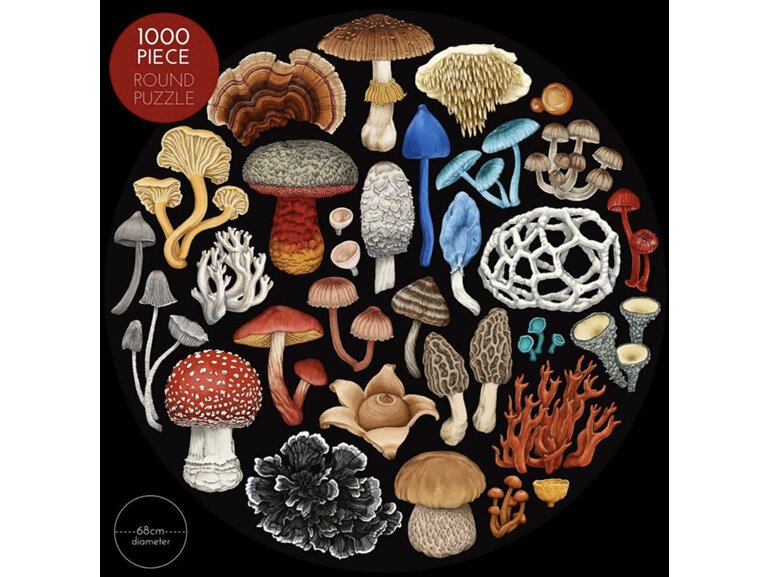 wolfkamp-stone-new-zealand-fungi-1000-piece-puzzle.jpg