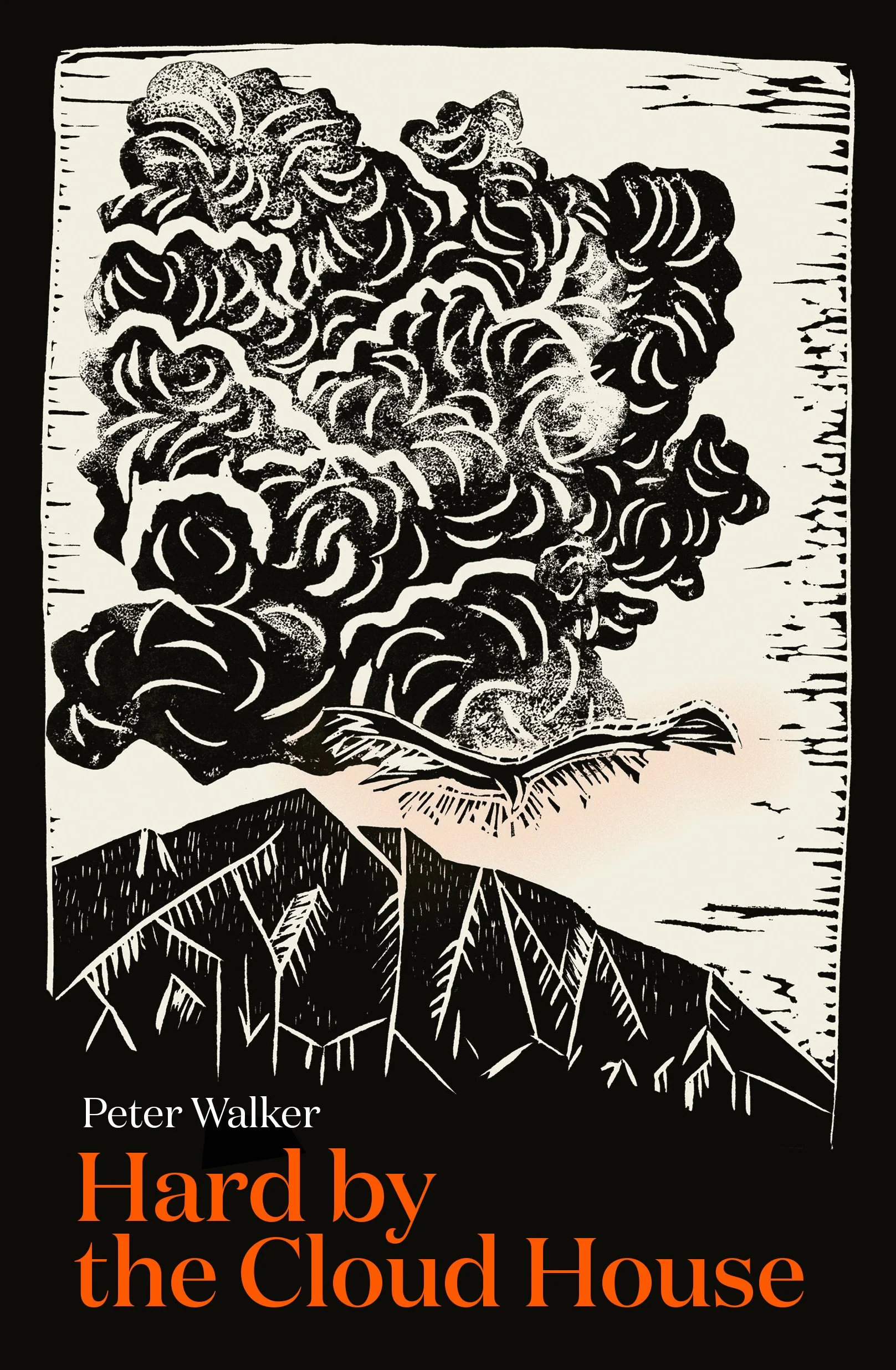 hard by the cloud house.jpg