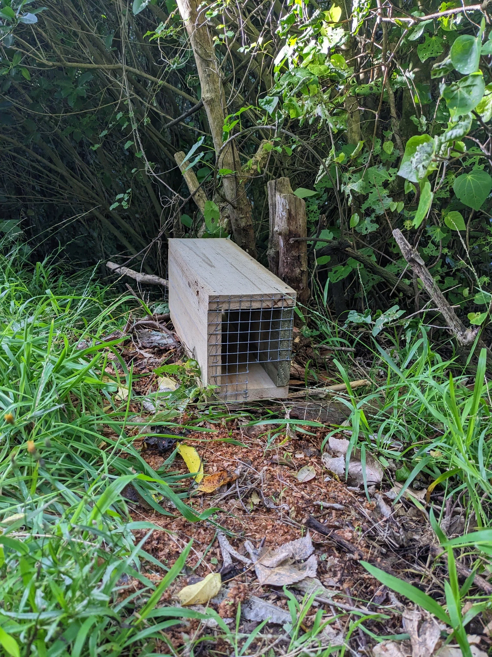 thumbnail_Trapping tunnel photo.jpg