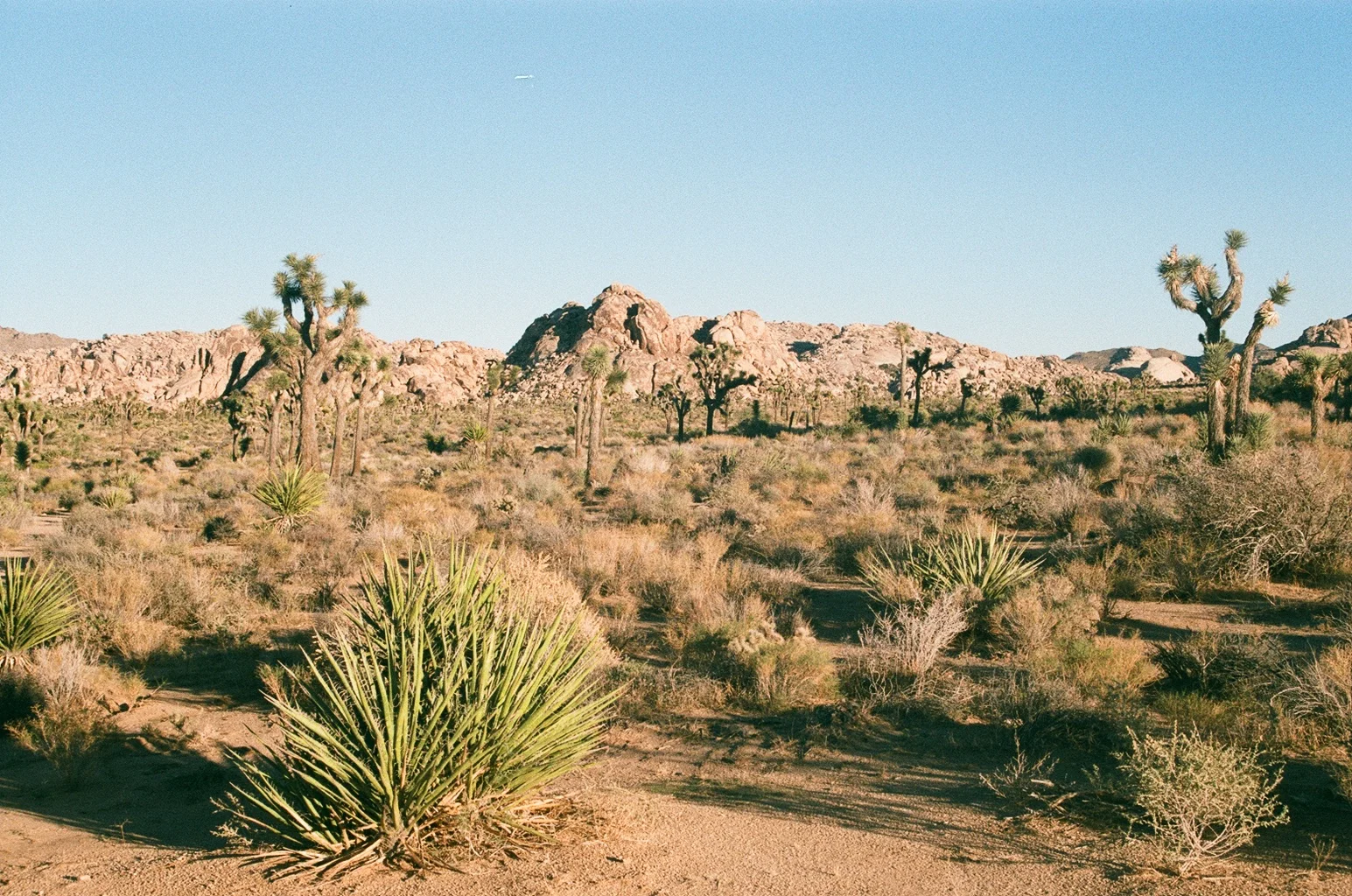000036450026.jpg