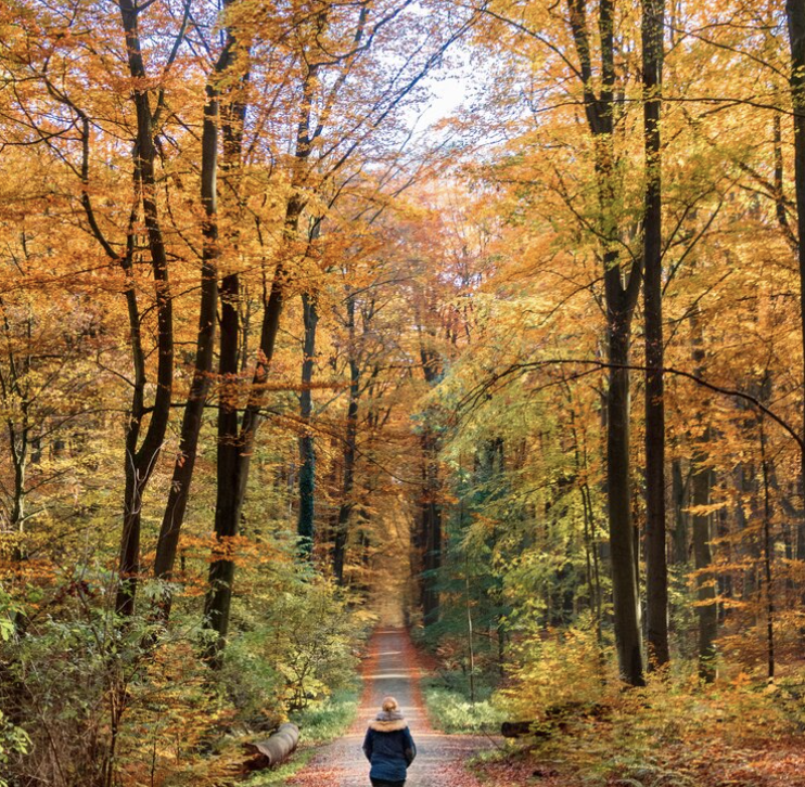 Screenshot 2025-07-09 at 12.15.44 pm.png