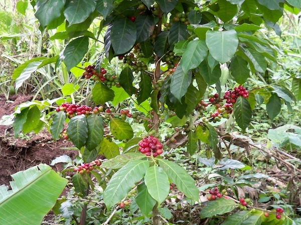 100_1344.jpg