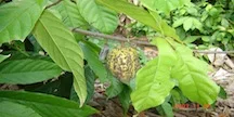 DSC00056.jpg