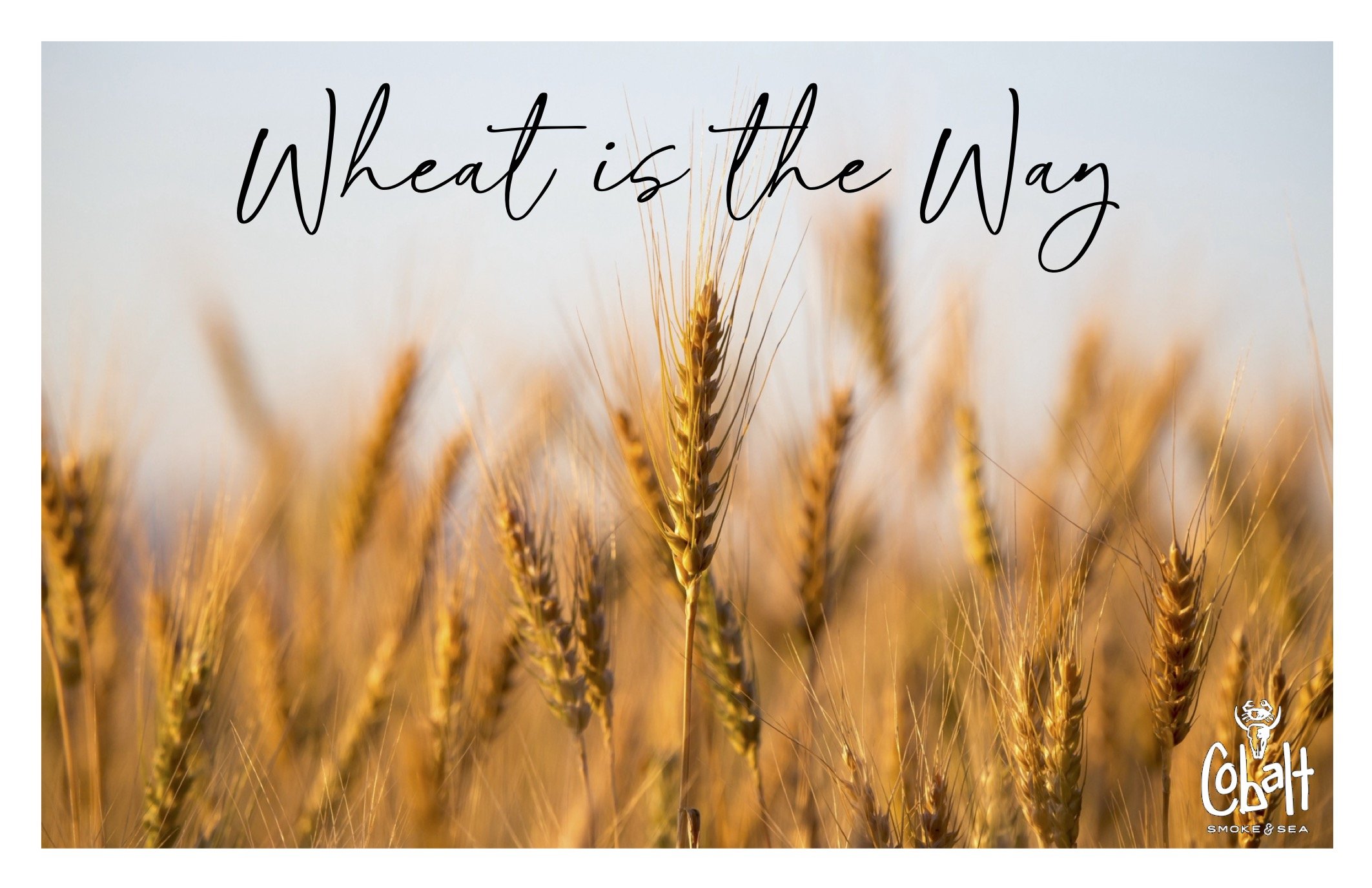 WheatWay.jpg