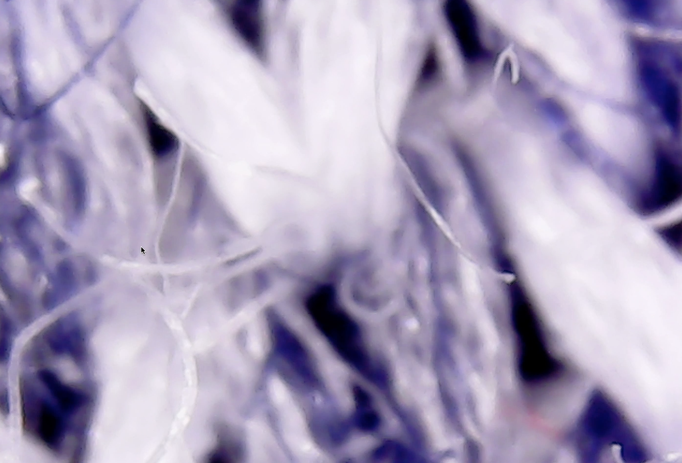 Apollo_4_1000x-Fibril.png