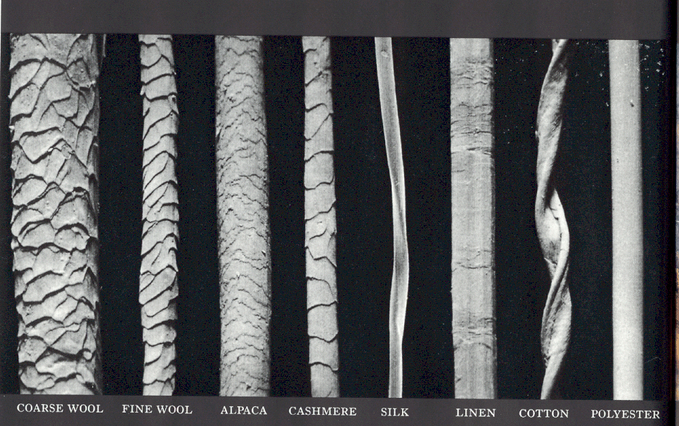 What is Polyester Fabric? How Polyester is Made and Its Properties