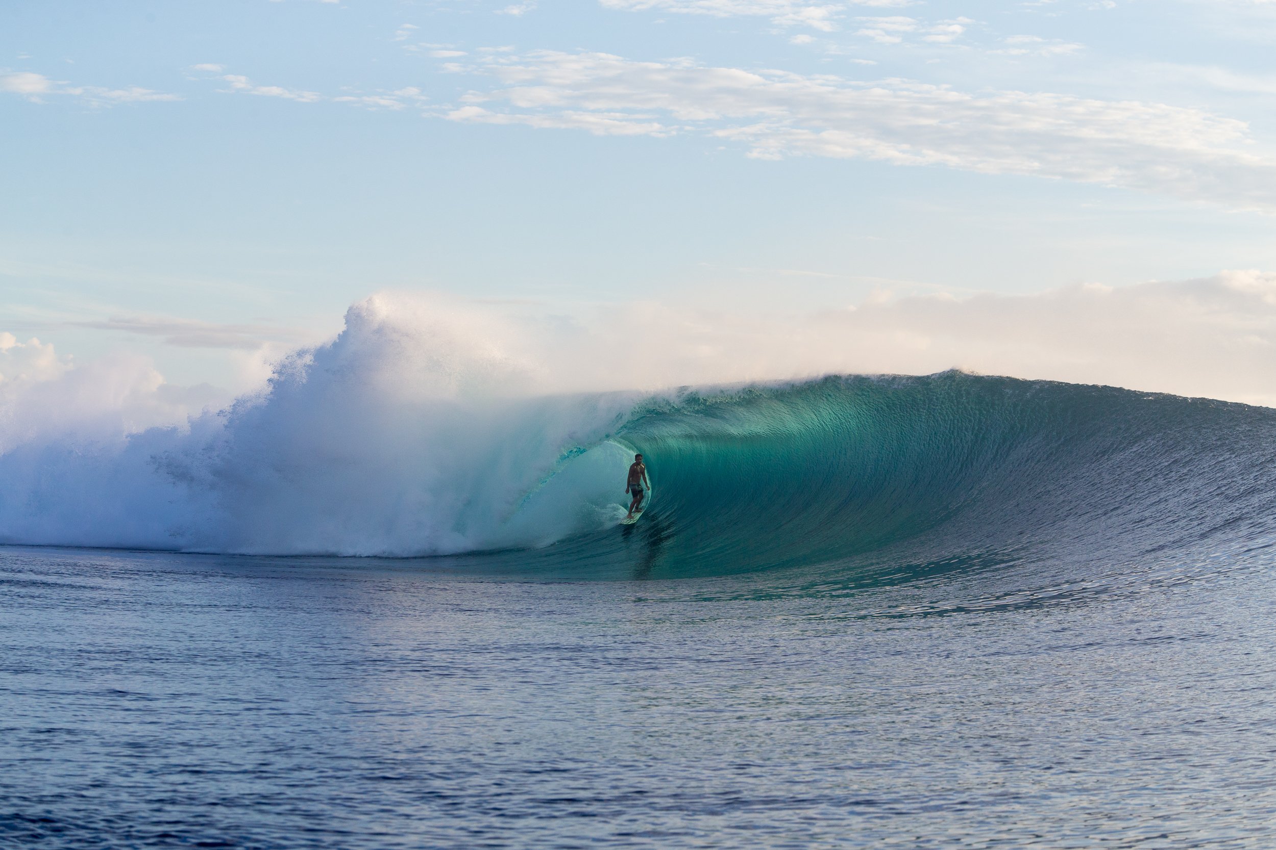 NickliottaAP7T4108 copy.JPG