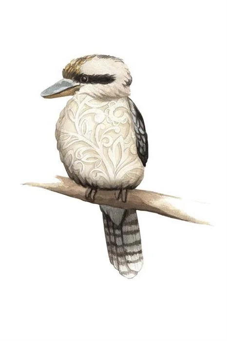 Kookaburra with Lace Belly Watercolour Illustration by Alicia's Infinity - www.aliciasinfinity.com