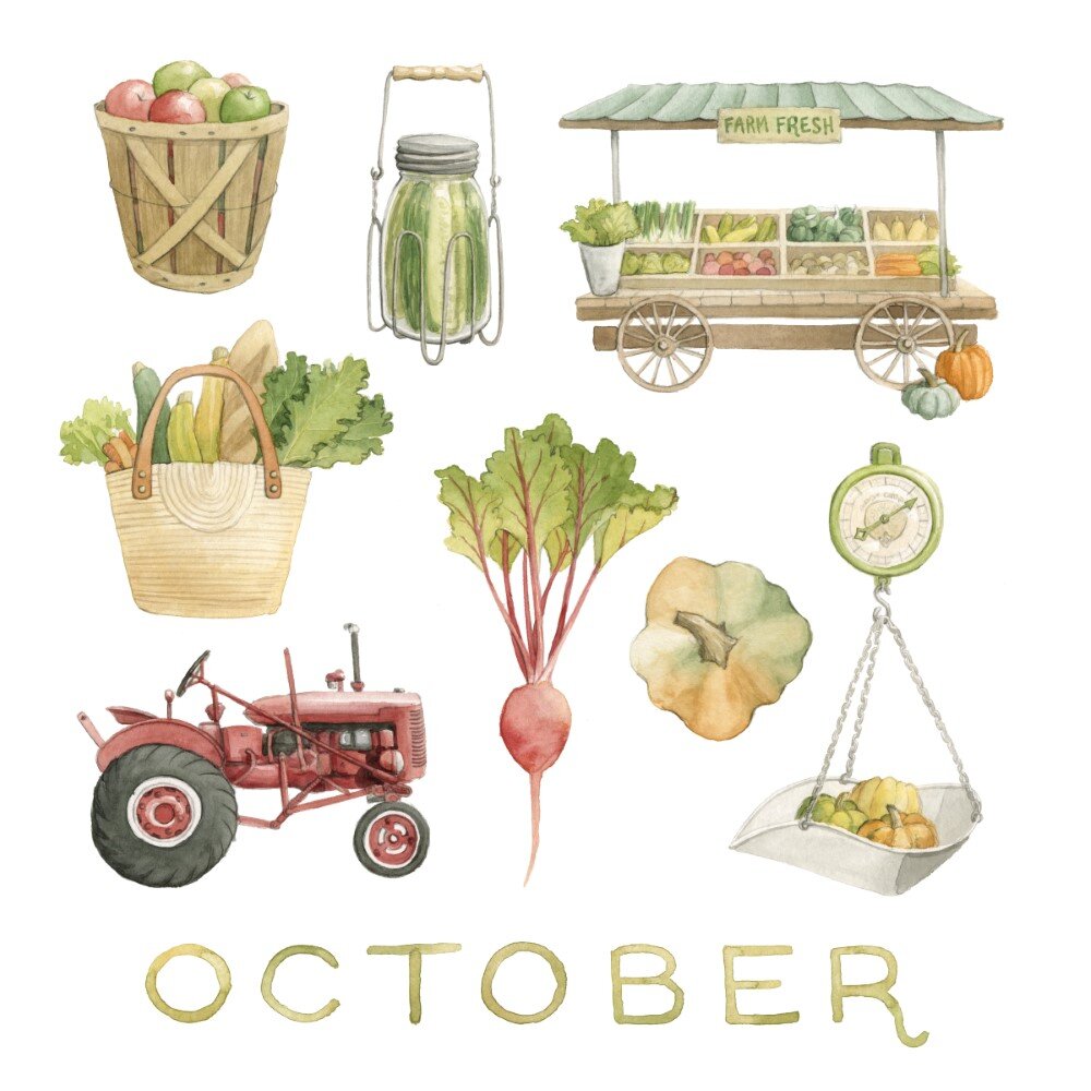 October Watercolour Illustration - Harvest Season