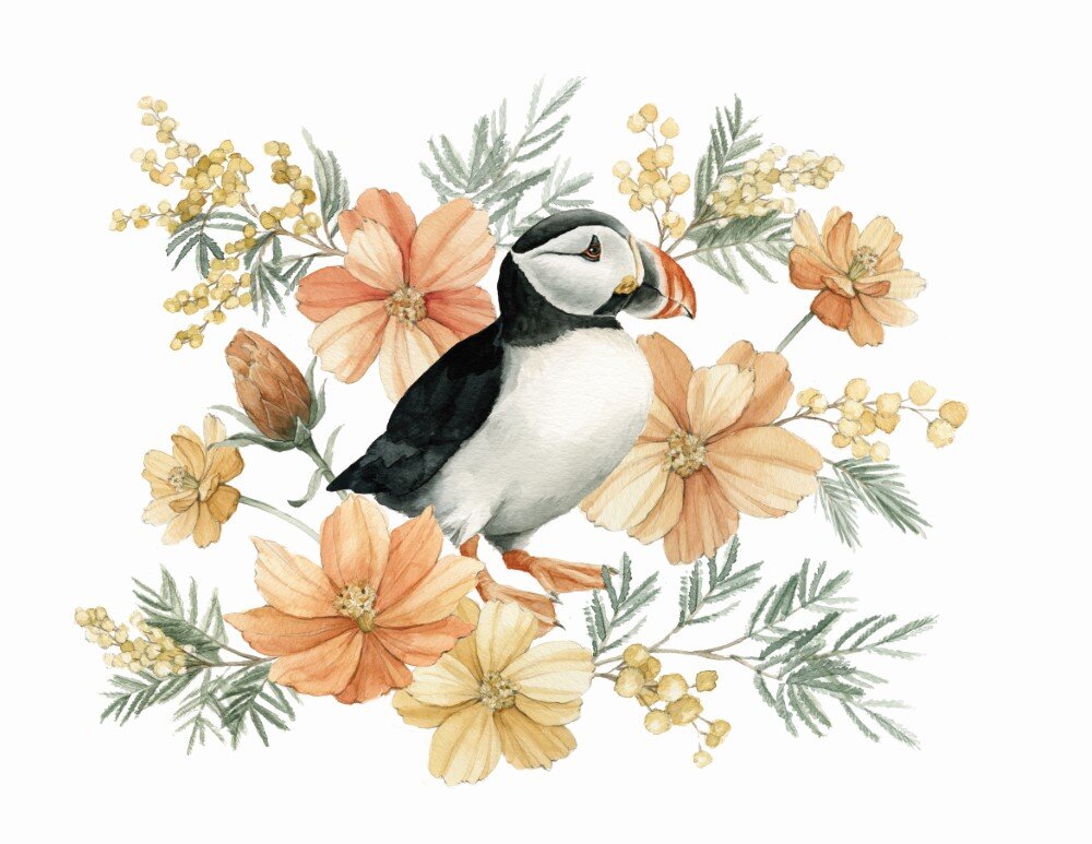 Puffin with Cosmos and Mimosa Blooms