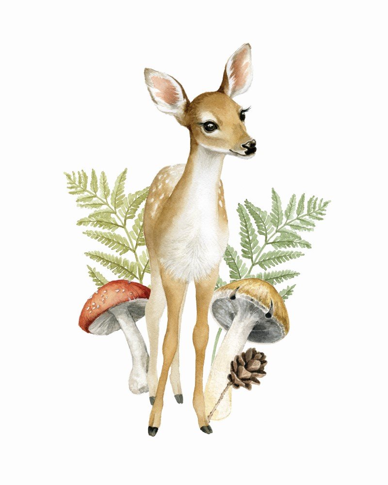 Woodland Fawn with Forest Flora Mushrooms and Ferns