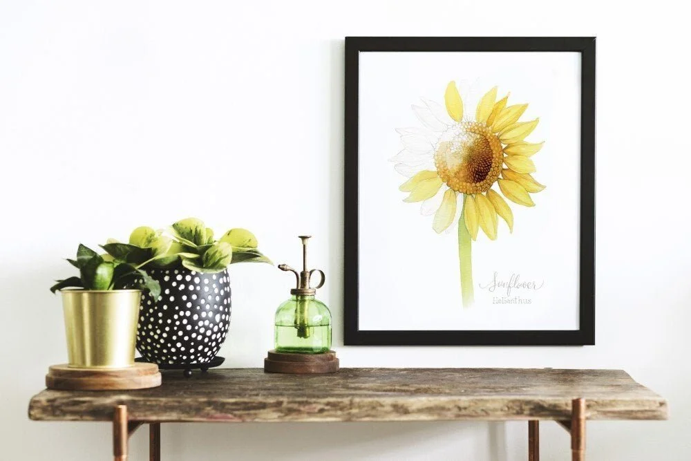 https://i.etsystatic.com/5328338/r/il/30c679/3173493898/il_fullxfull.3173493898_2gk9.jpg