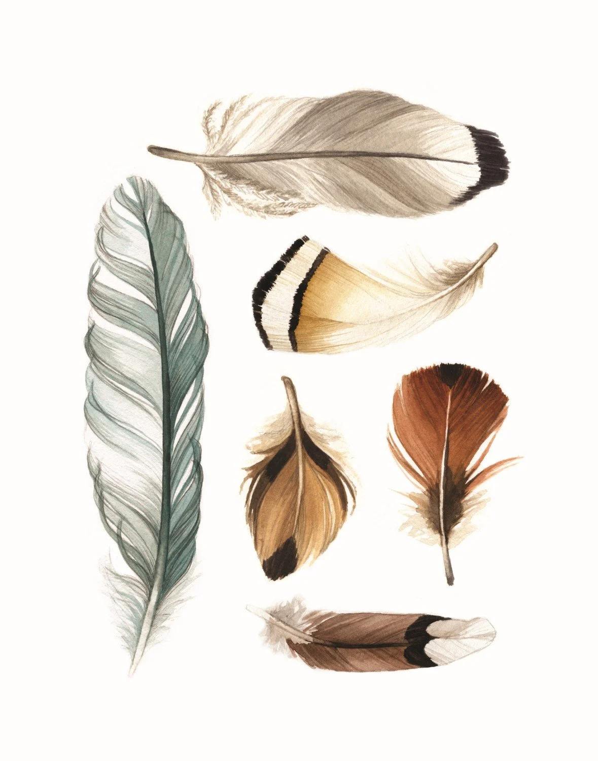 Feathers-Zoomed-Brown-11x14-PRINT (Custom).jpg