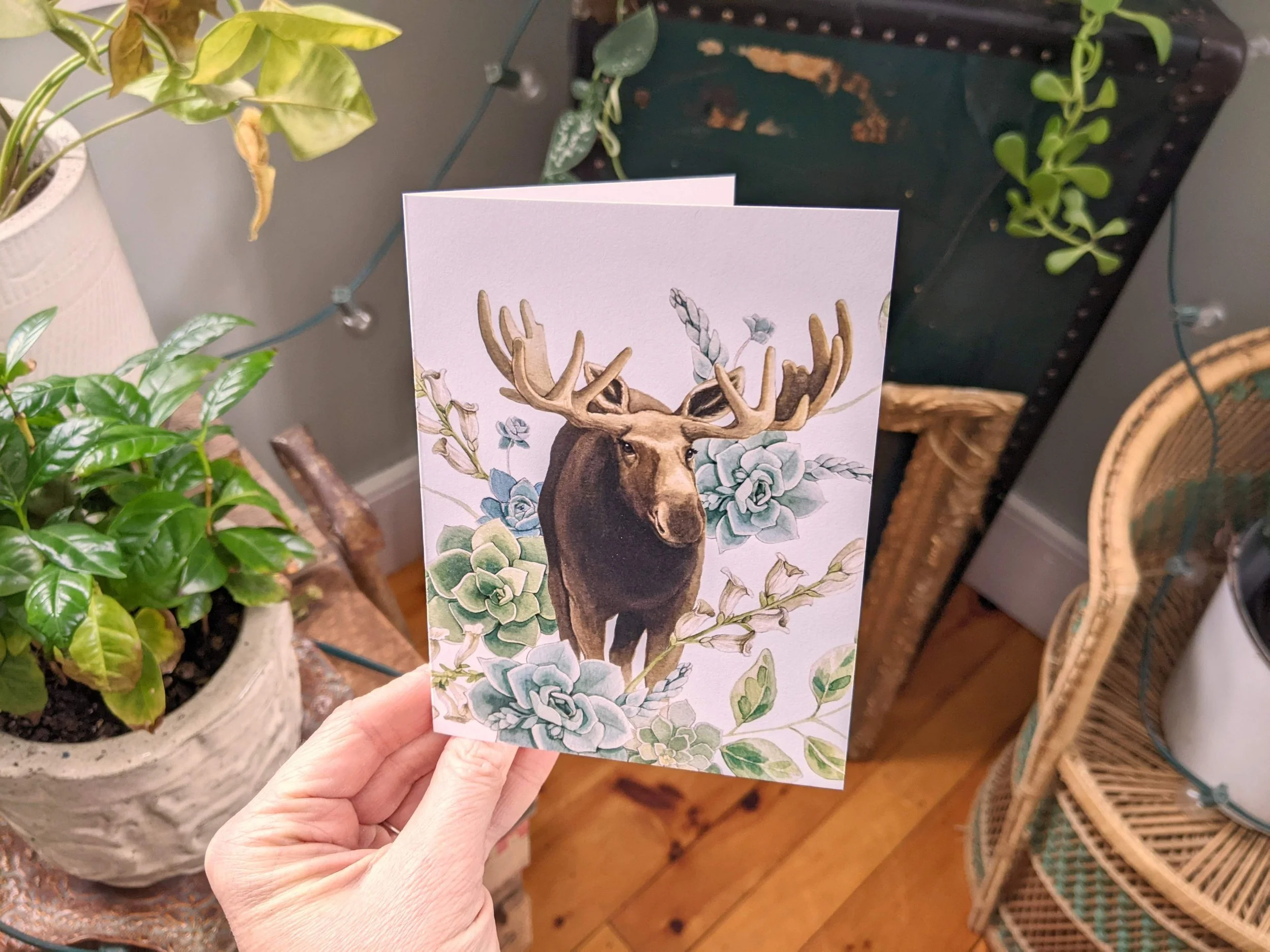 Moose Notecard Photo (3).jpeg