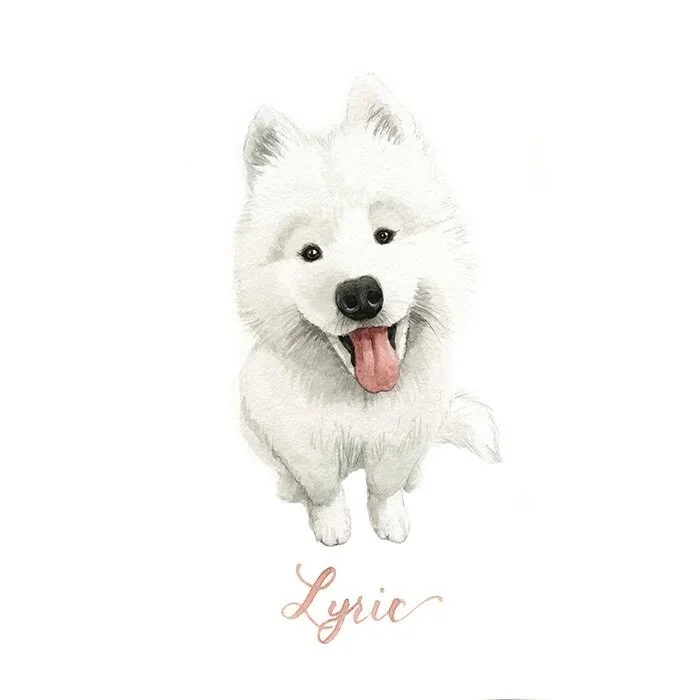 I have several custom commissions on my plate at the moment that I can't share, so I thought I'd put sweet Lyric back on my feed - I'm not sure you can find much cuter!!!

#petportrait #dogportrait #watercolour #custompainting #originalart