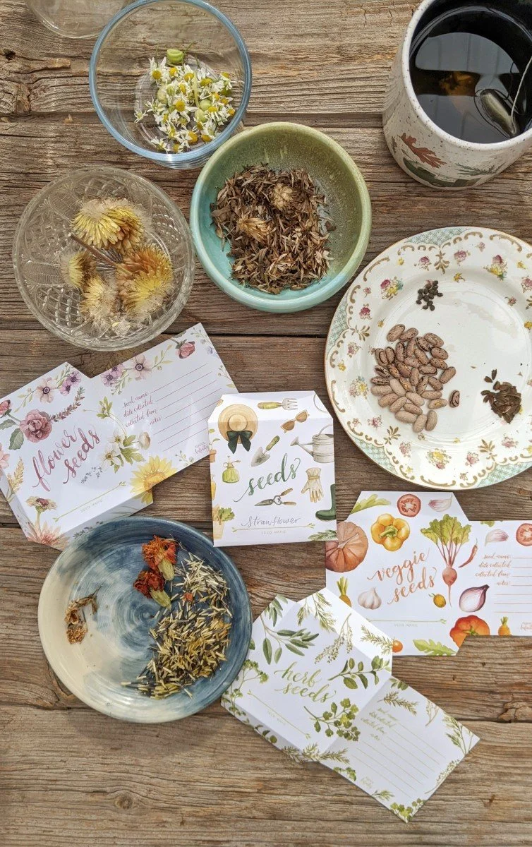 DIY Seed Saving Envelope Set of 4 - Digital Download