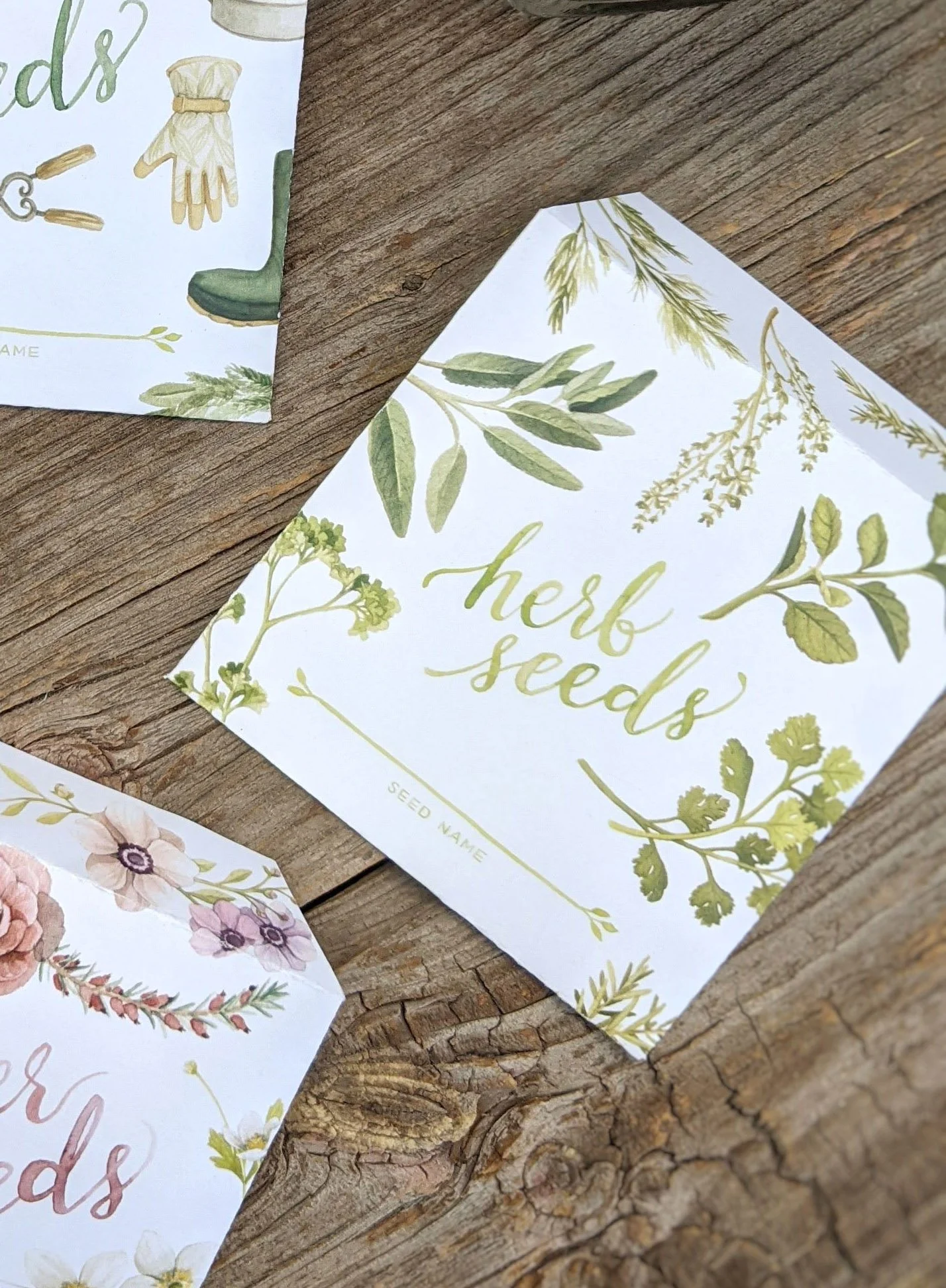 Seed-Saving-Envelope-Photos (herbs).jpg