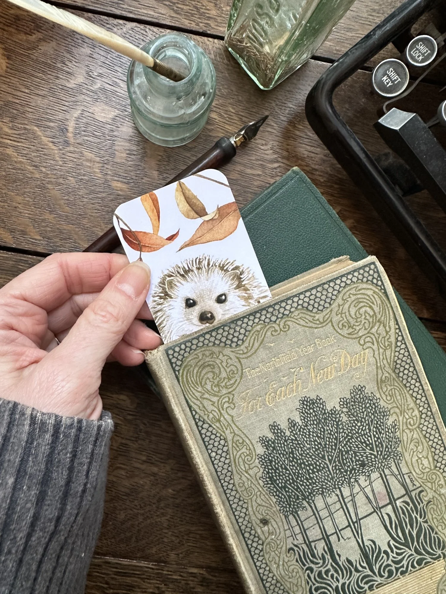 Bookmarks - Aliciasinfinity  (13) (Custom).JPG