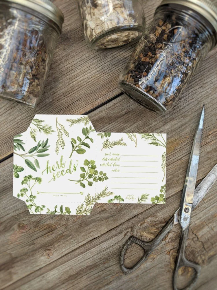 Seed-Saving-Envelope-Photos (10) (Website 1000).jpg