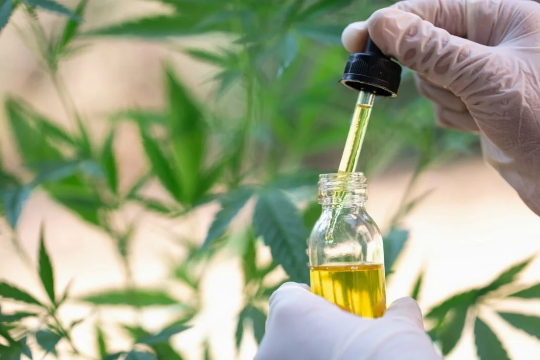 The Art of Selling Cannabis Oil