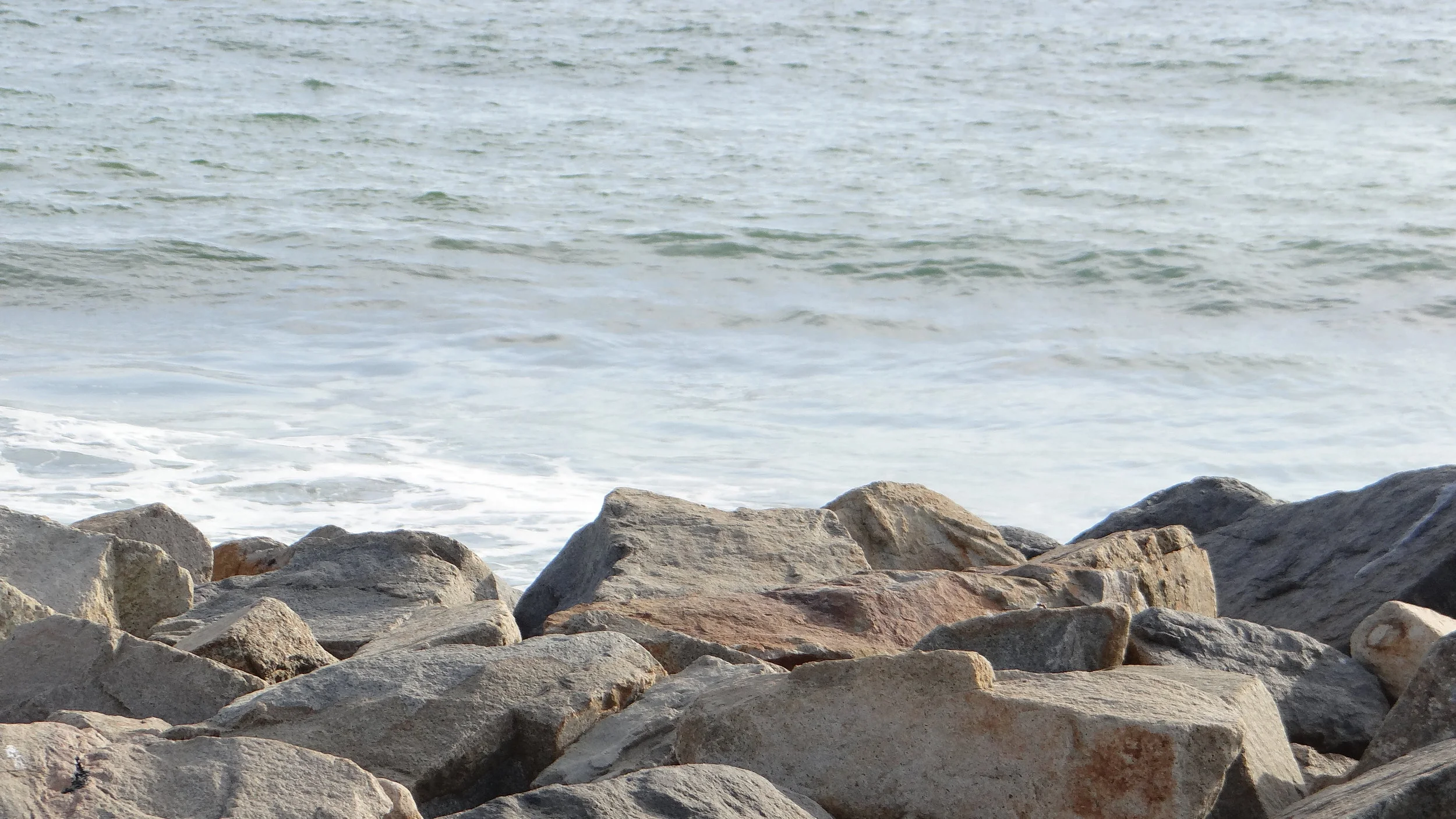 Carlsbad Beach CA