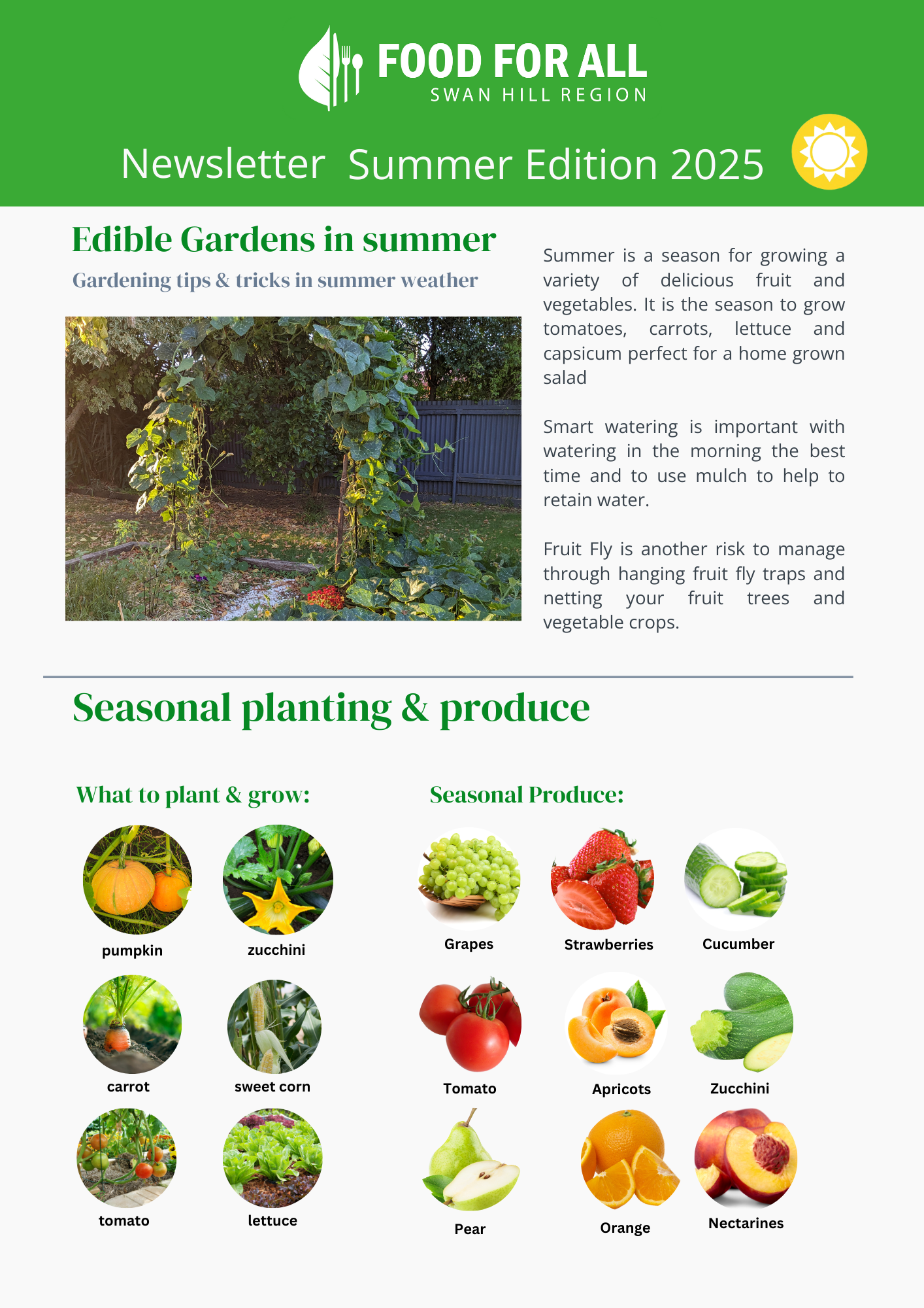 Summer  Food For All Newsletter- December 2025