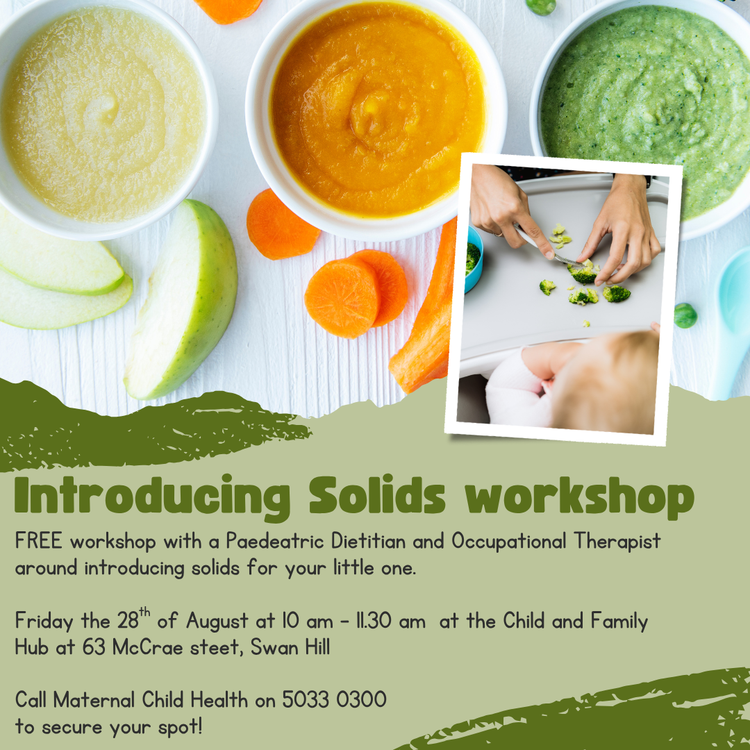 Introducing solids workshop 