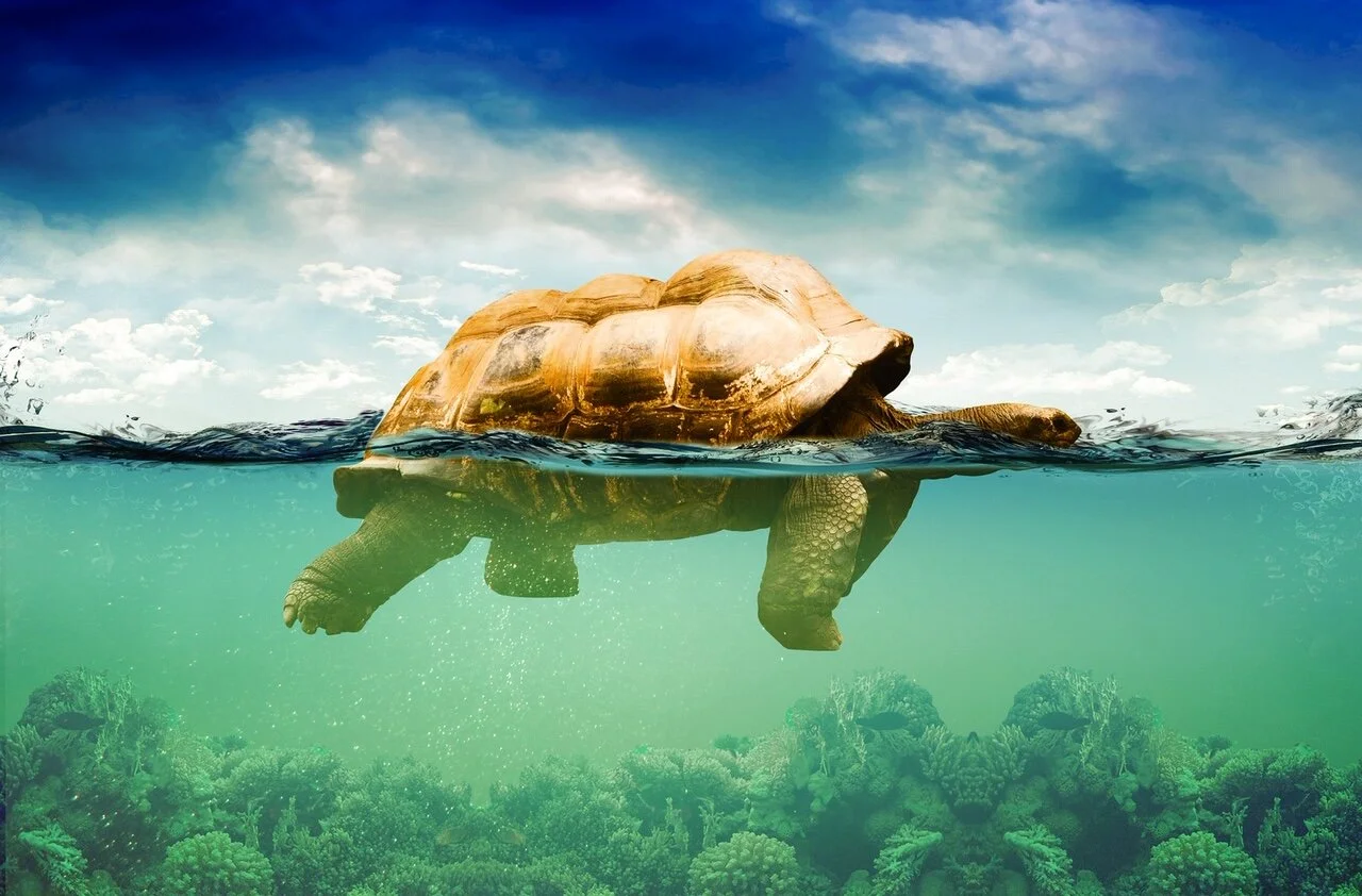 Above and Below the Line