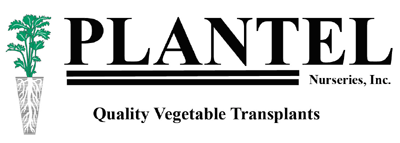 Plantel-lge.gif