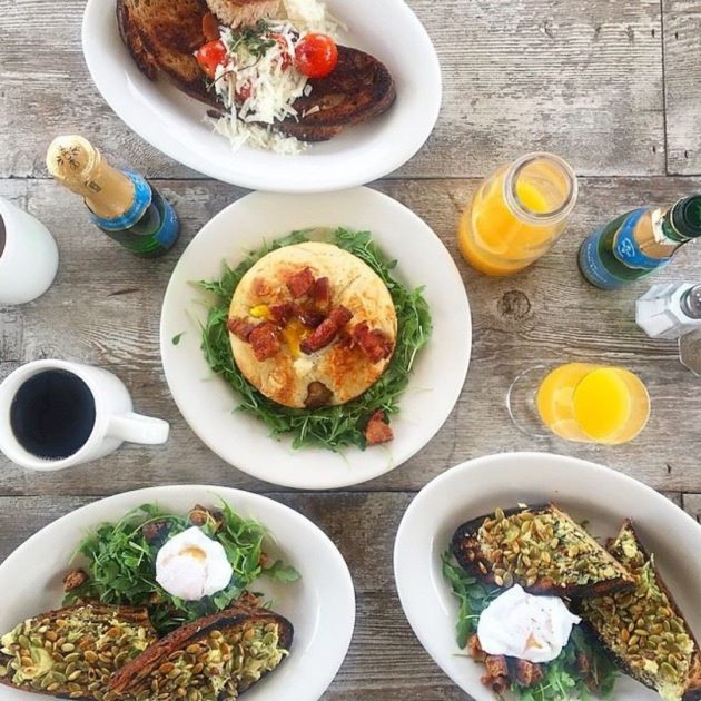 avo-toast-on-table_8F675225-0987-4E7A-8E76EFFEF185F362_4c26575d-77e6-4fd5-8aff0e3ebf207951-630x630.jpg